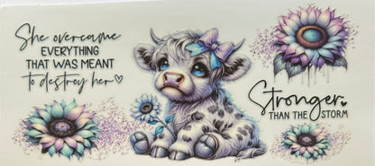 Vaca de las Highlands con margarita