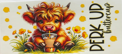 Vaca de las Highlands con margarita