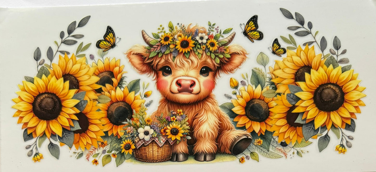 Vaca de las Highlands con margarita