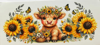 Vaca de las Highlands con margarita