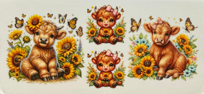 Vaca de las Highlands con margarita