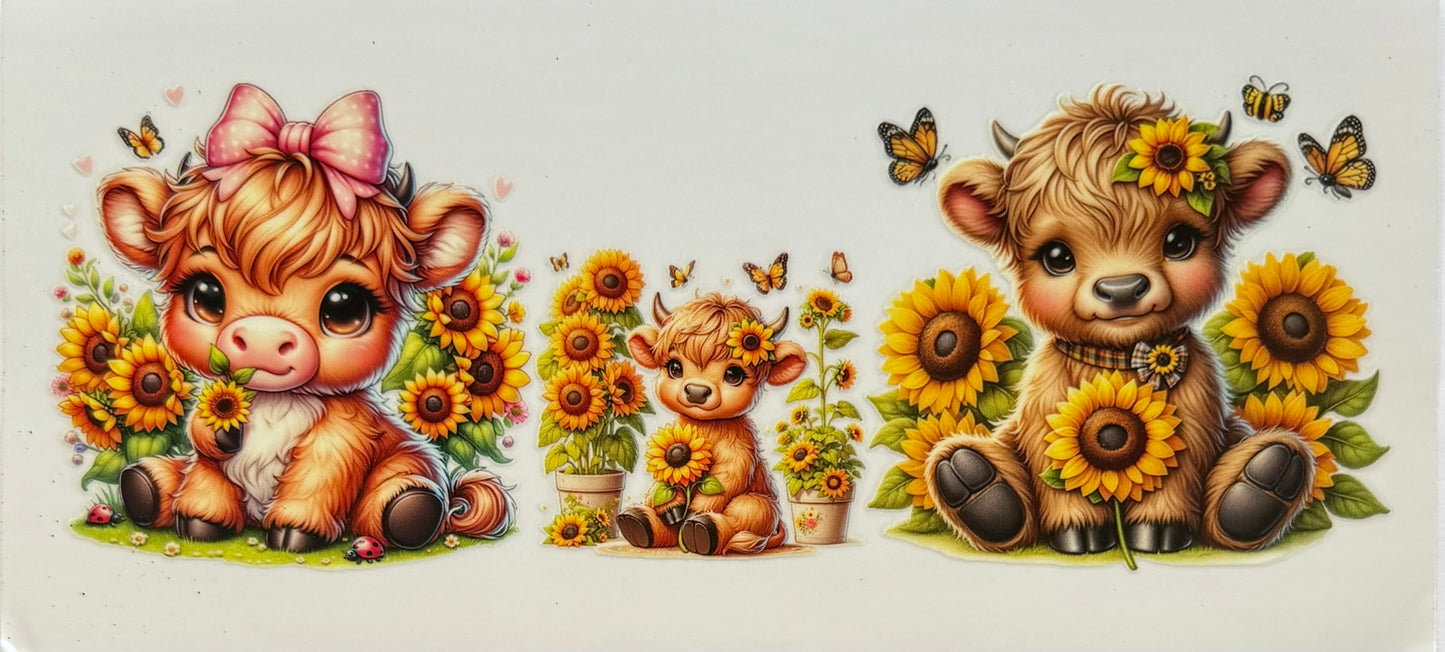 Vaca de las Highlands con margarita