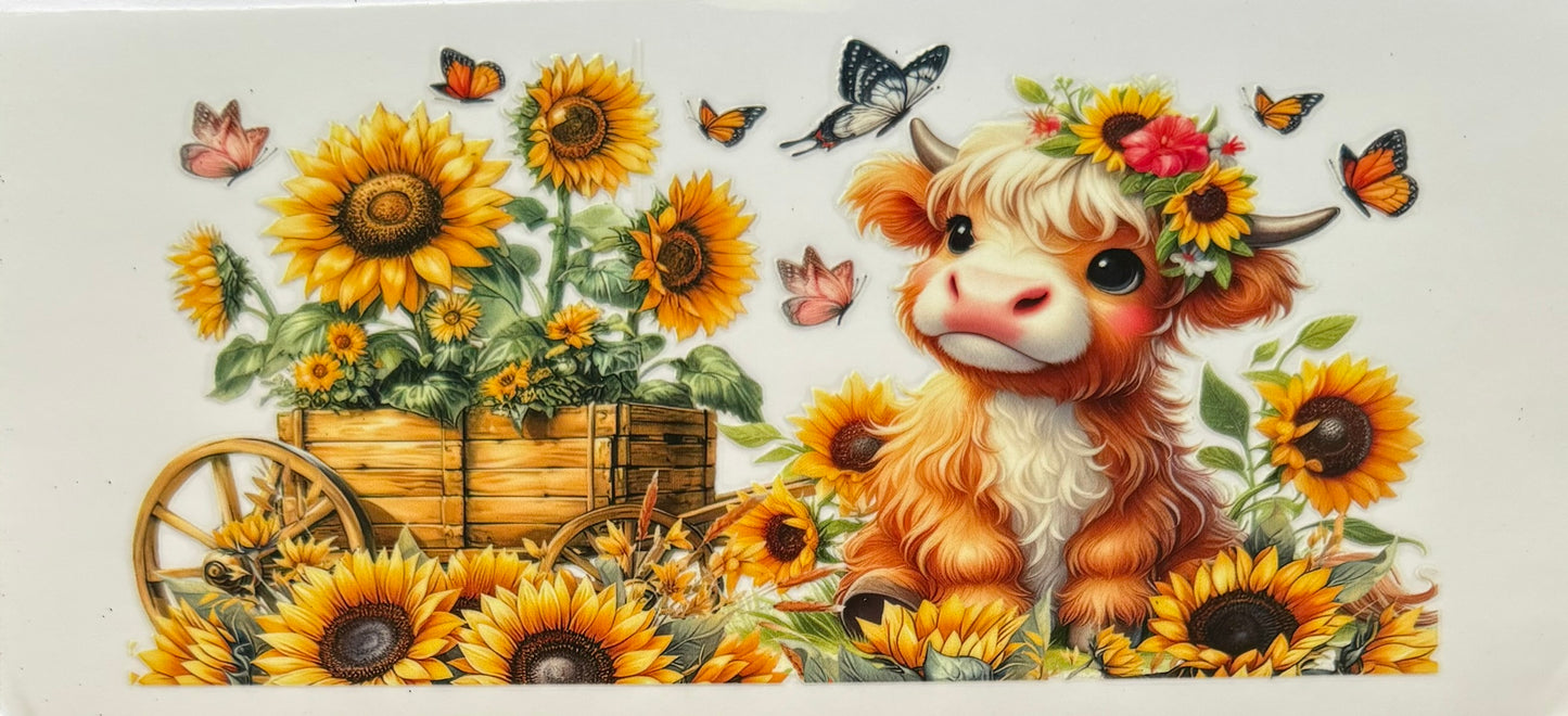 Vaca de las Highlands con margarita