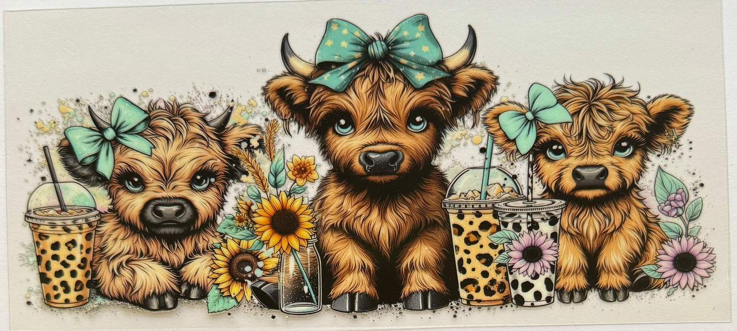 Vaca de las Highlands con margarita