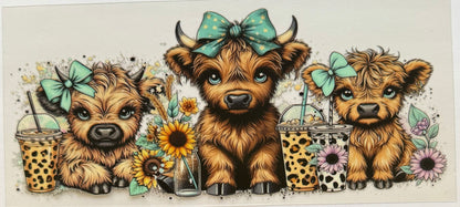 Vaca de las Highlands con margarita