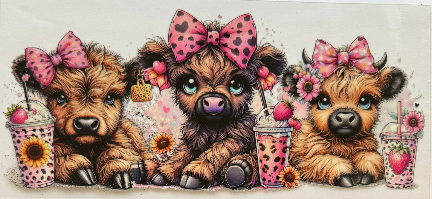 Vaca de las Highlands con margarita