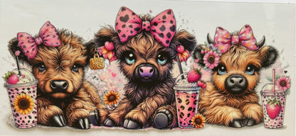 Vaca de las Highlands con margarita