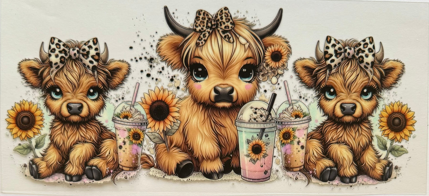 Vaca de las Highlands con margarita