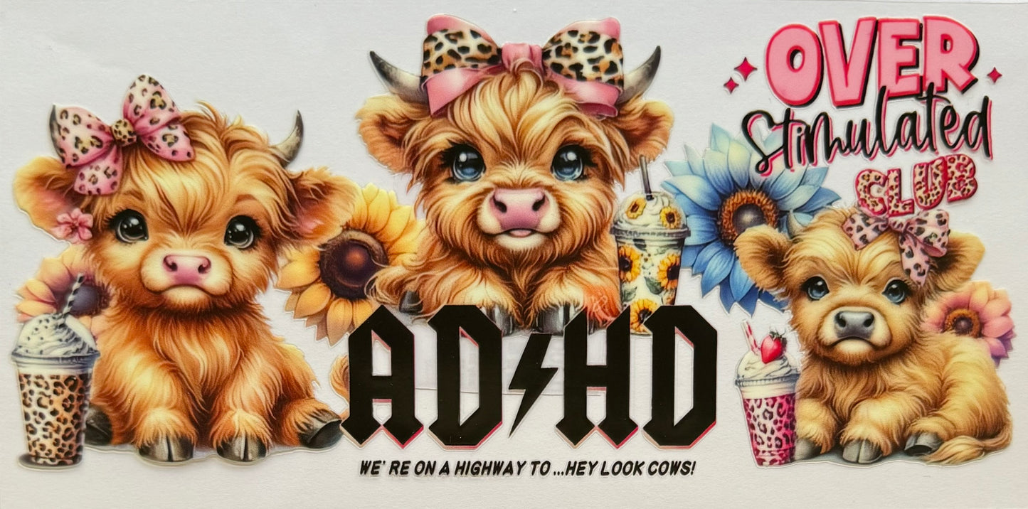 Vaca de las Highlands con margarita