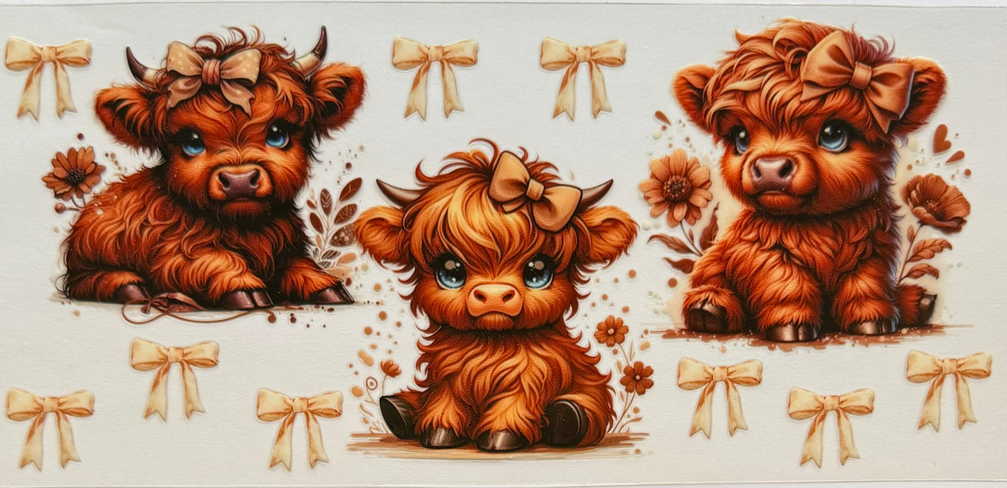 Vaca de las Highlands con margarita