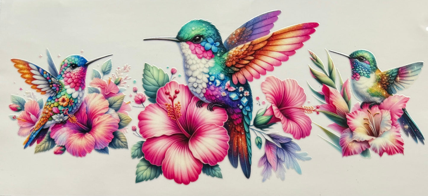 Hummingbirds