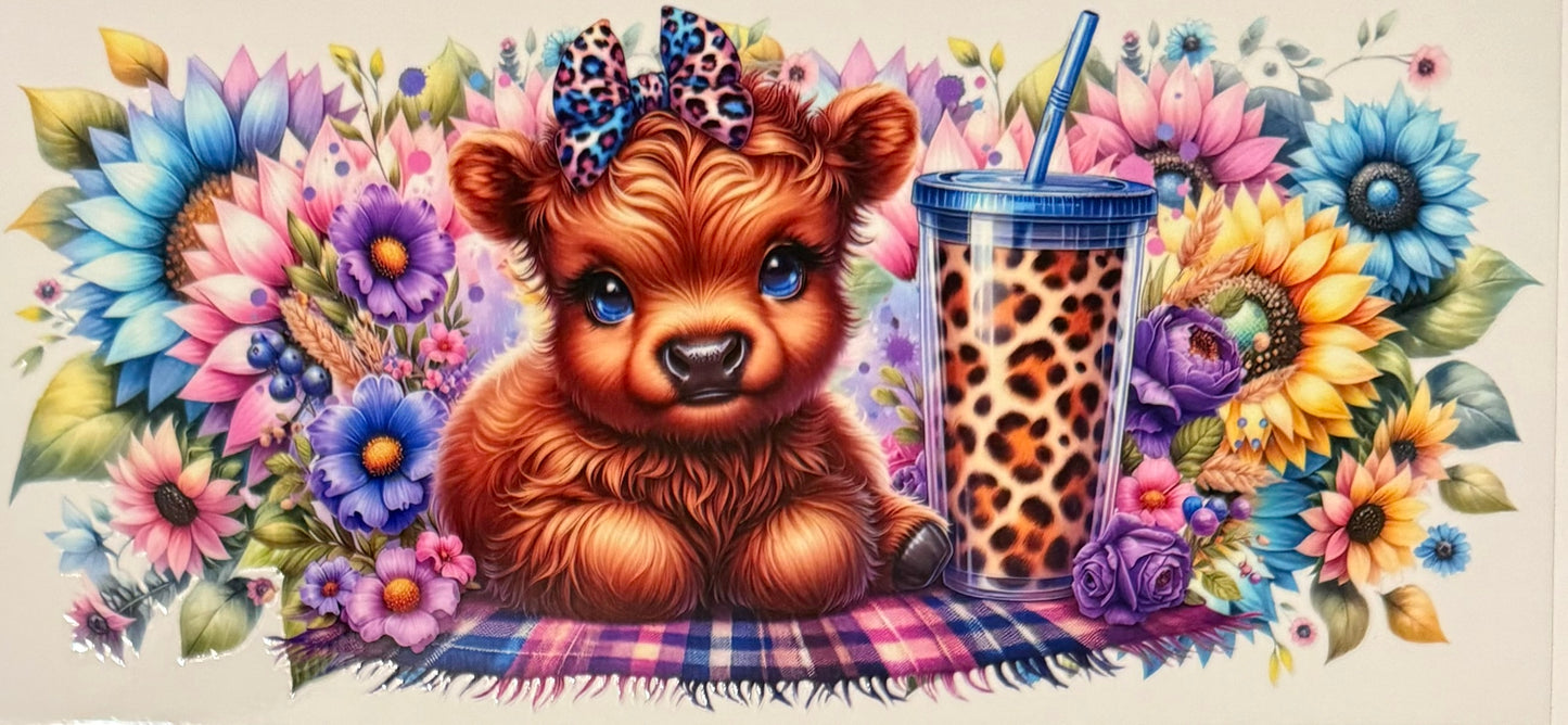 Vaca de las Highlands con margarita