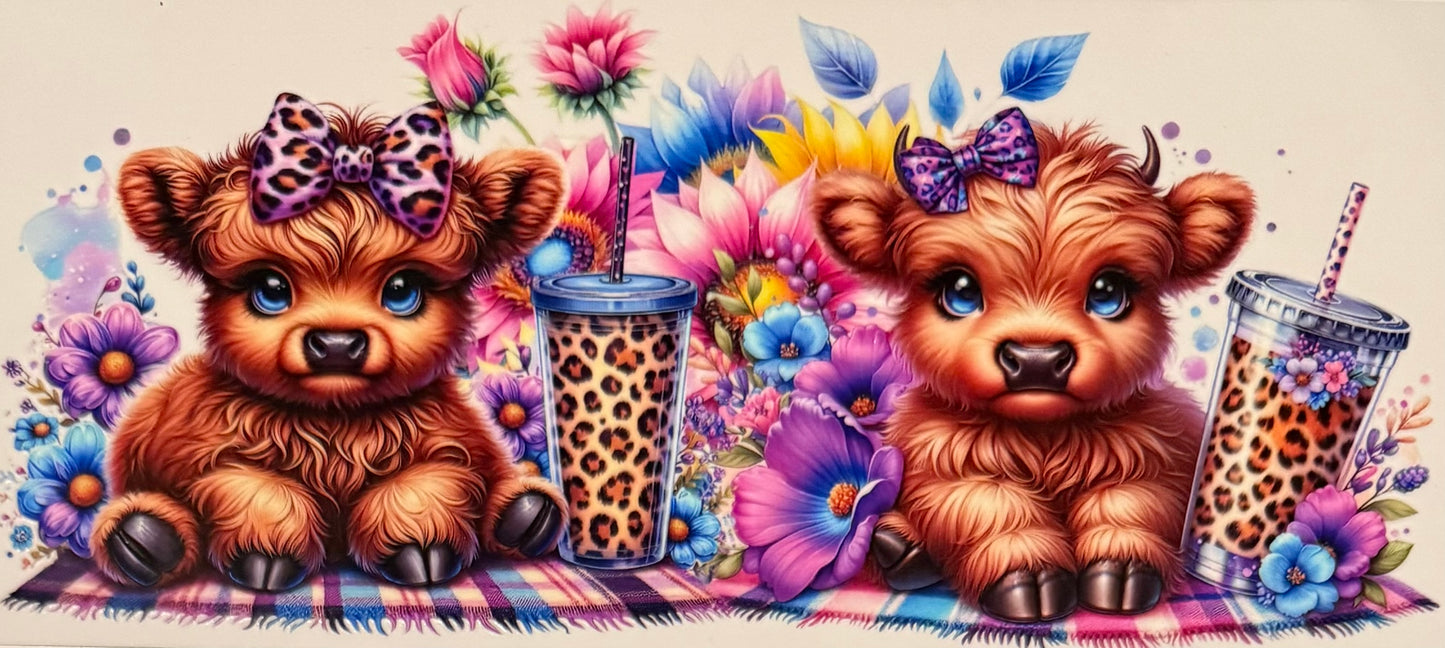 Vaca de las Highlands con margarita